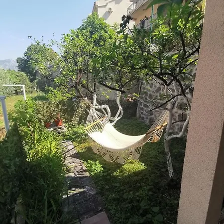 Apartments Coso Zlatne Njive Bb Kotor Exterior photo