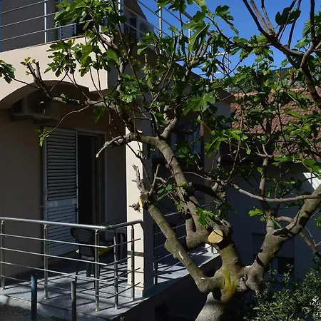 Apartments Coso Zlatne Njive Bb Kotor Exterior photo
